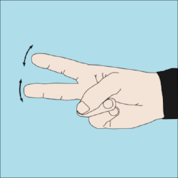 600px-Dive_hand_signal_Cut.png