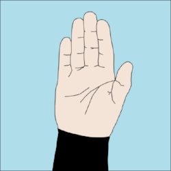 600px-Dive_hand_signal_Stop.png