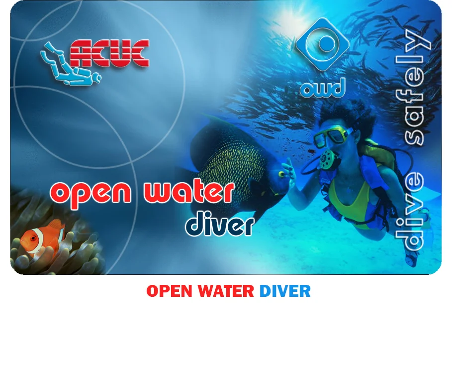 Open Waters Pool Session #1