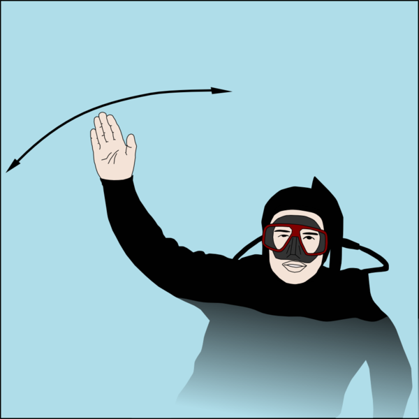 Scuba Diving Signals — O2ToGo Dive Centre