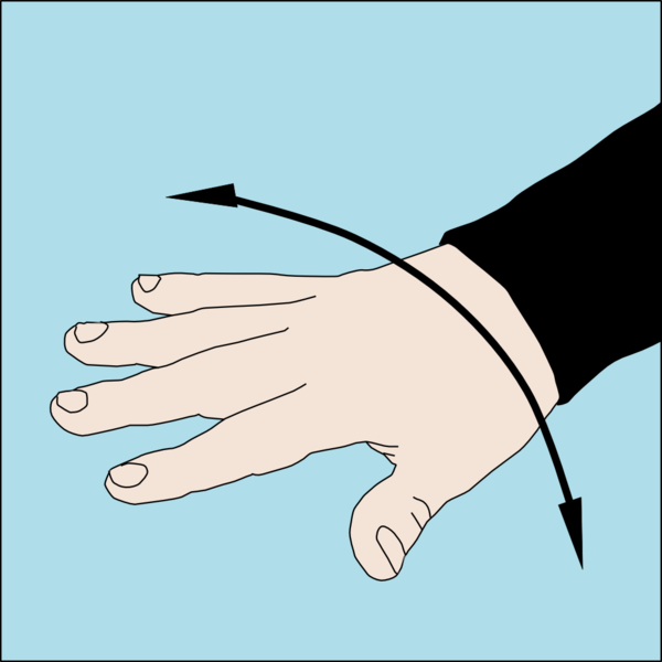 600px-Dive_hand_signal_Not_Right.png