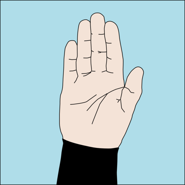 600px-Dive_hand_signal_Stop.png