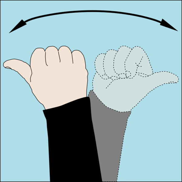 Dive_hand_signal_Which_Way.png