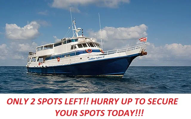 Caribbean_Explorer 2SPOTS.jpg