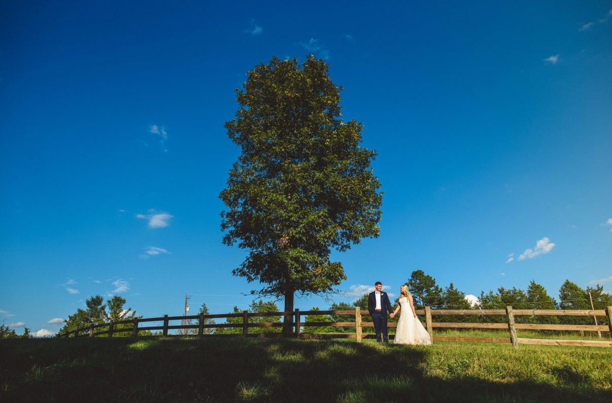 Farm Wedding Venue Tree