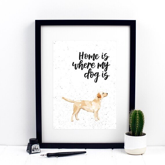 https://i.etsystatic.com/12997364/r/il/93f09c/1503232596/il_570xN.1503232596_g2lc.jpg