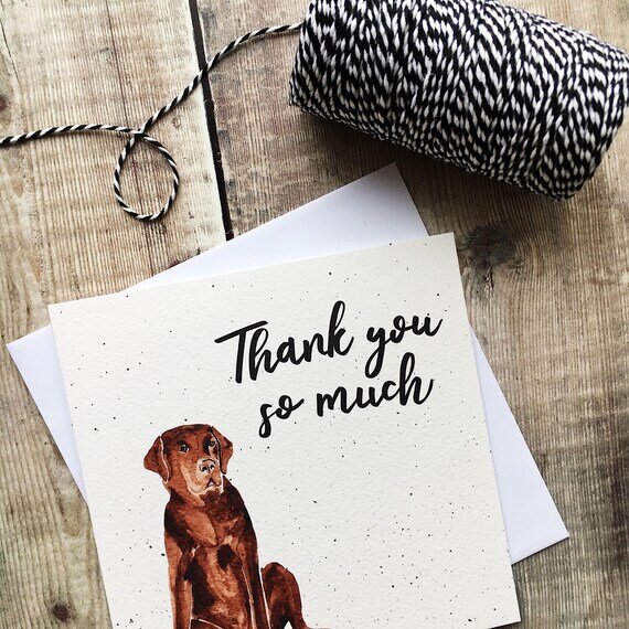 https://i.etsystatic.com/12997364/r/il/ef45ea/1469150029/il_570xN.1469150029_m2fj.jpg