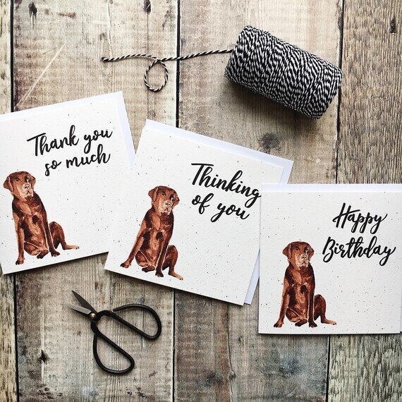 https://i.etsystatic.com/12997364/r/il/5cd200/1469149395/il_570xN.1469149395_kbsz.jpg