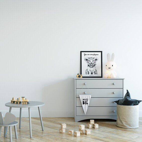 https://i.etsystatic.com/12997364/r/il/497fe0/2388588304/il_570xN.2388588304_k2g5.jpg