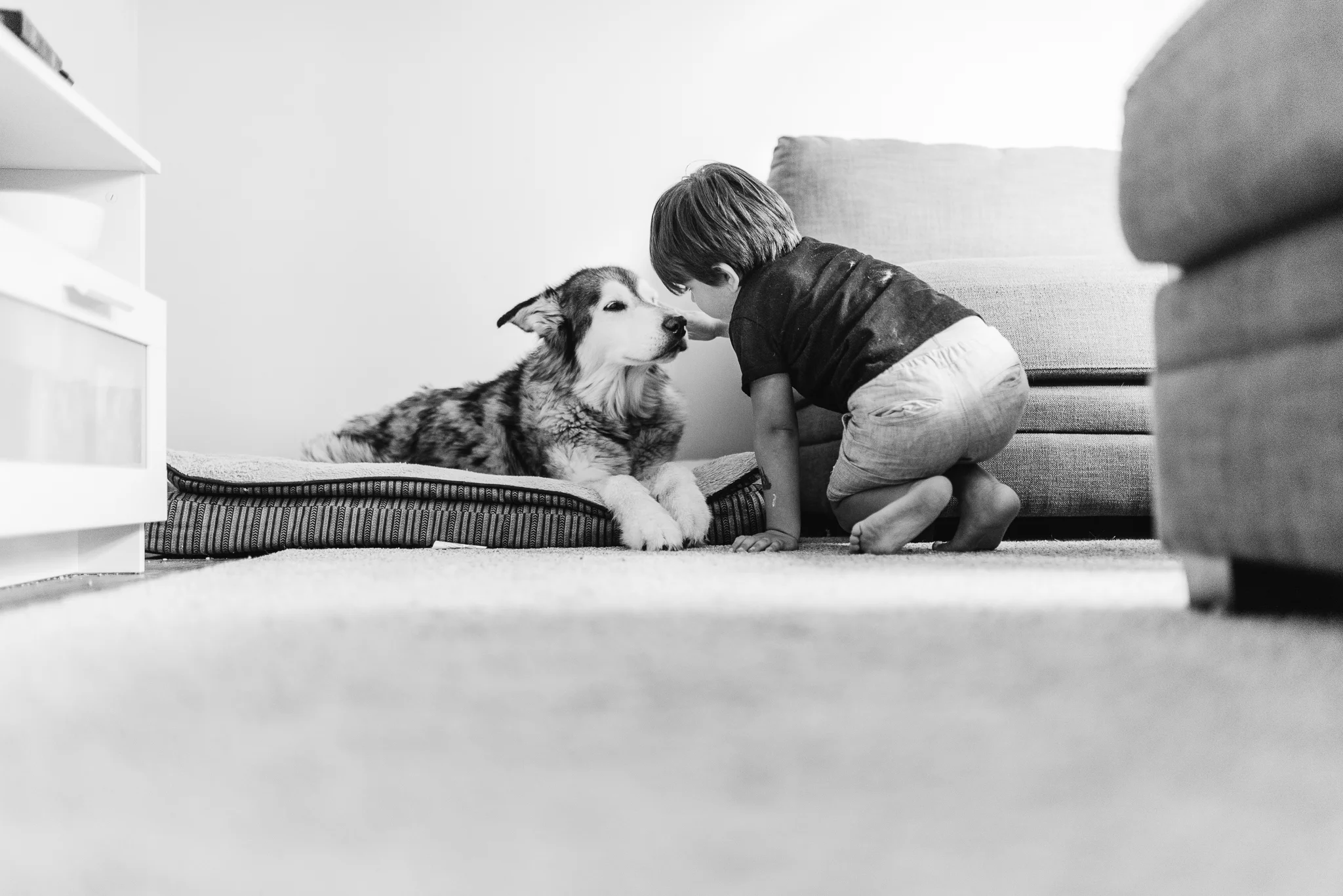 untitled-6.jpg