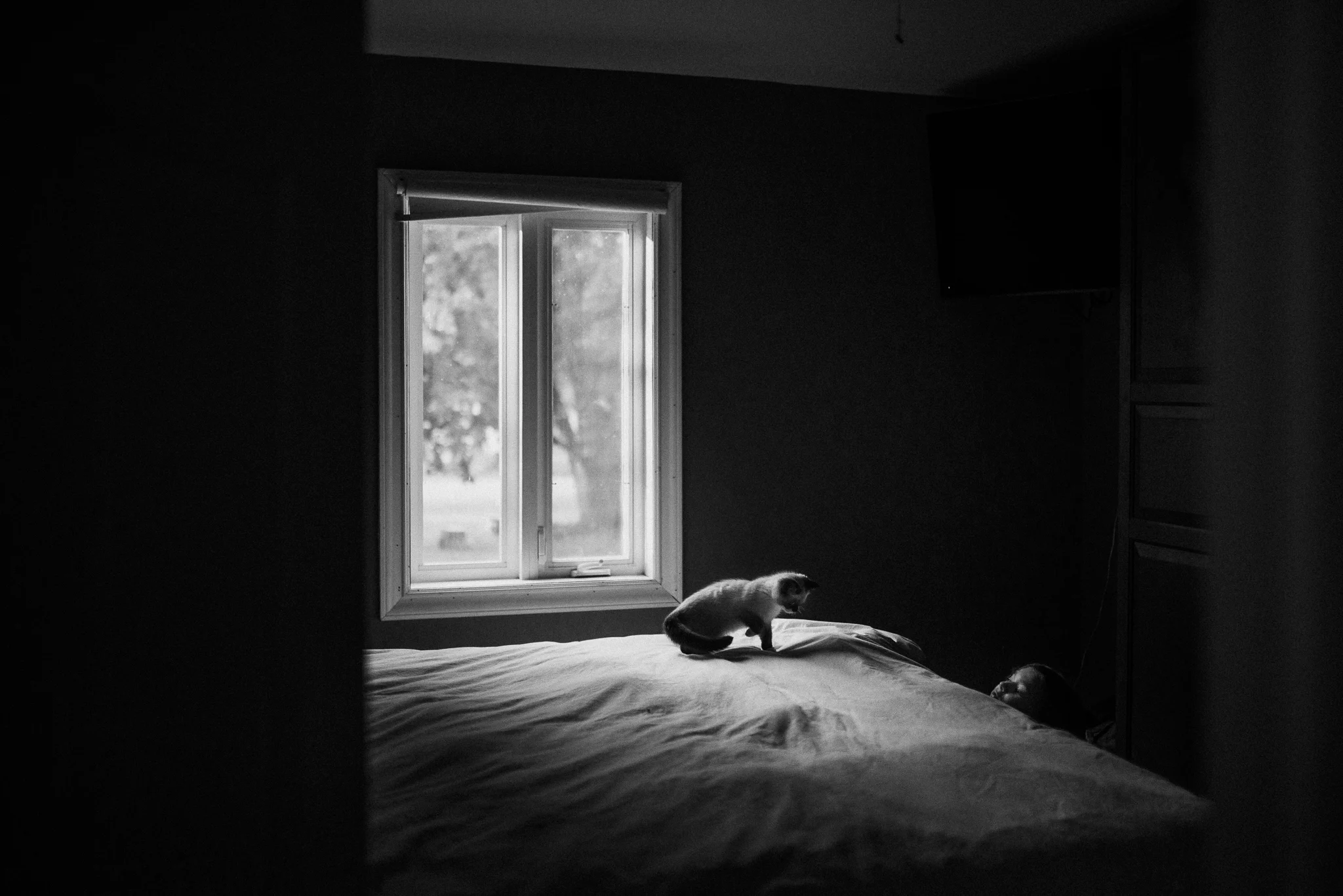 untitled-53.jpg
