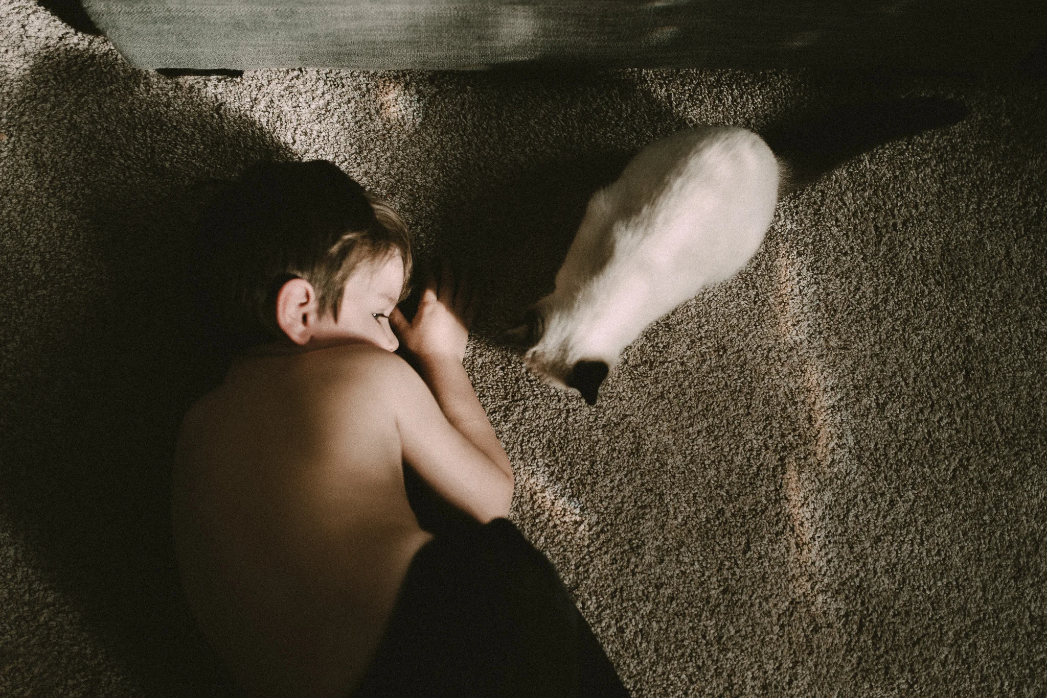 untitled-49.jpg