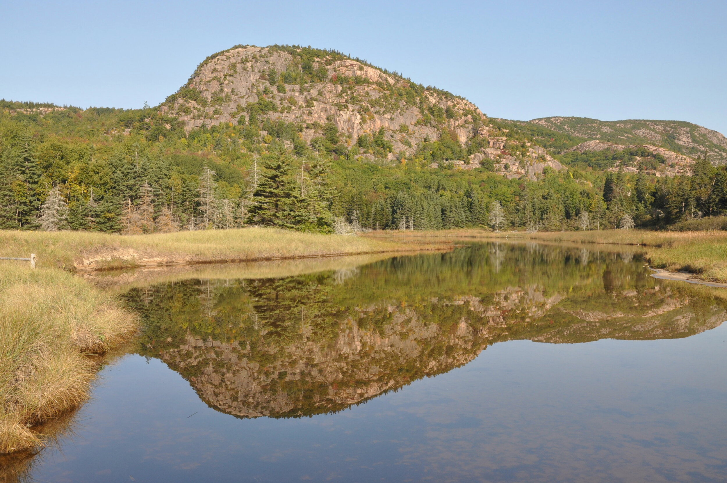 Beehive reflection 2.JPG