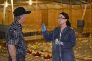 Questions and Answers about Antibiotics in Chicken Production