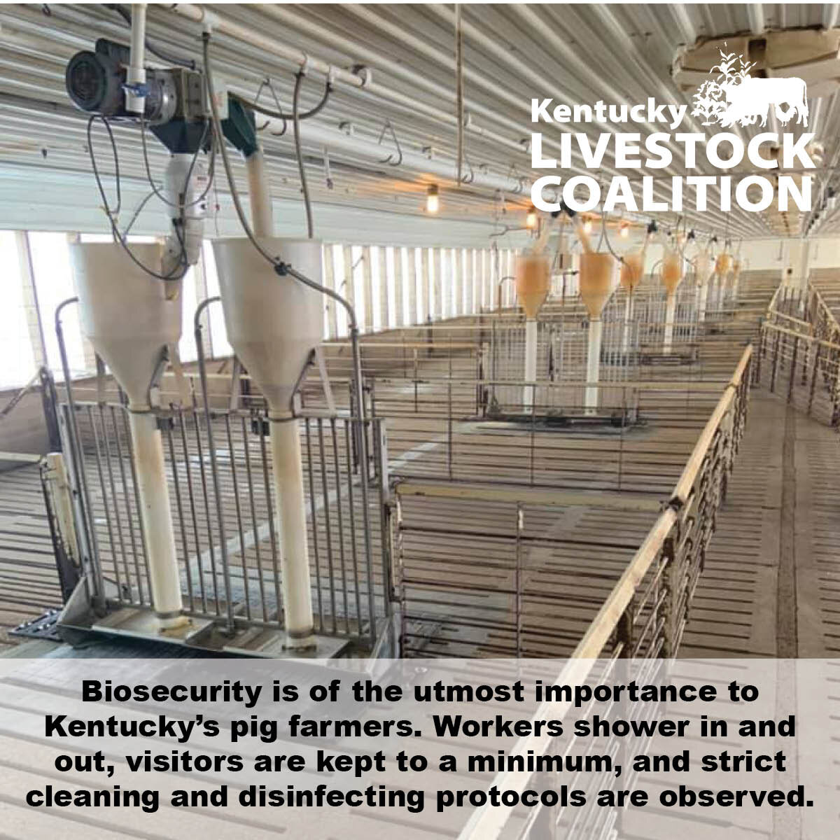 biosecurity.jpg