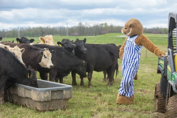 Beef Bash 2022 highlights resiliency and rebuilding from Kentucky tornado