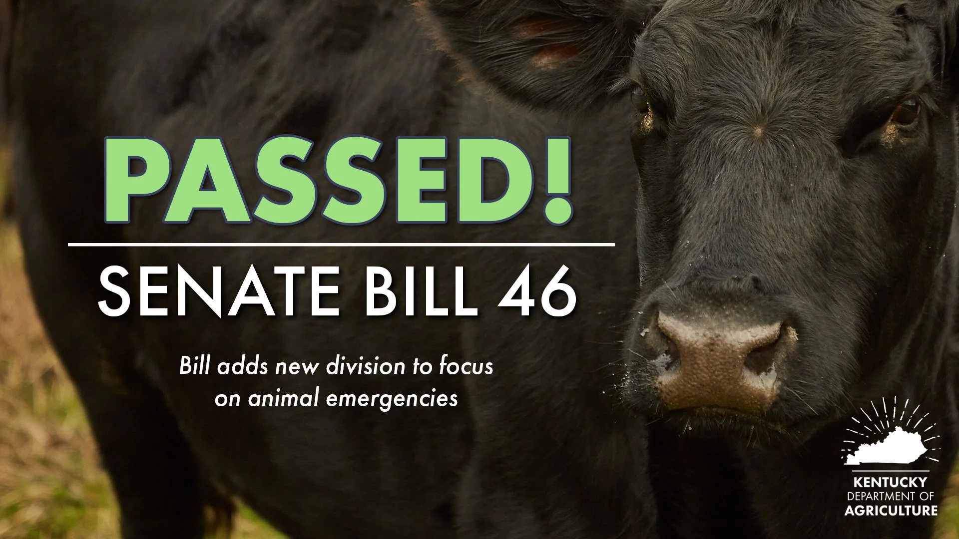 Commissioner Praises Passage of Bill to Add New Division to State Vet’s Office