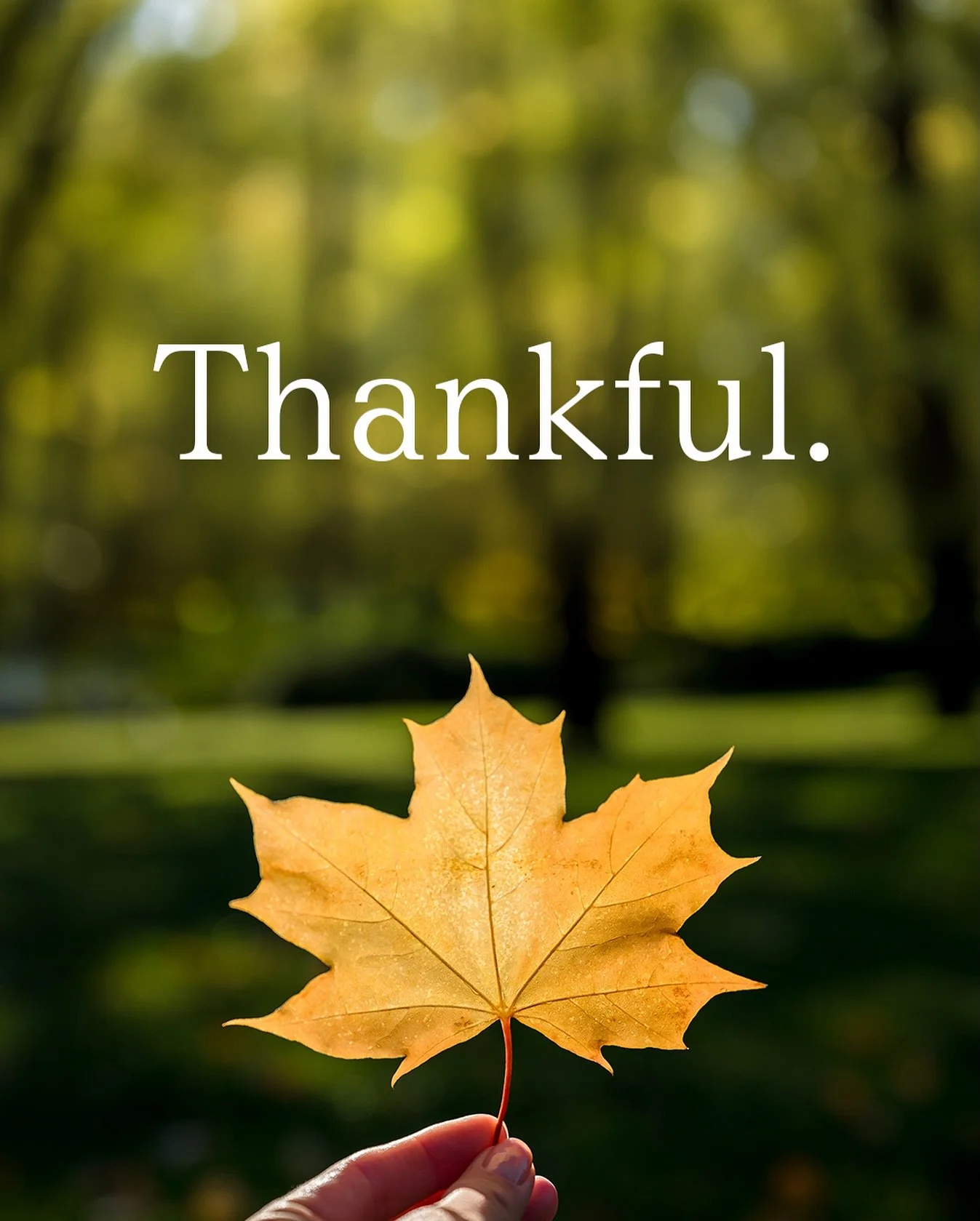 Happy Thanksgiving Weekend! 🍂
We’re so grateful for our amazing clients, friends, and community who continue to support us year after year. Wishing you a holiday filled with warmth, joy, and gratitude.
- Larose Real Estate Group