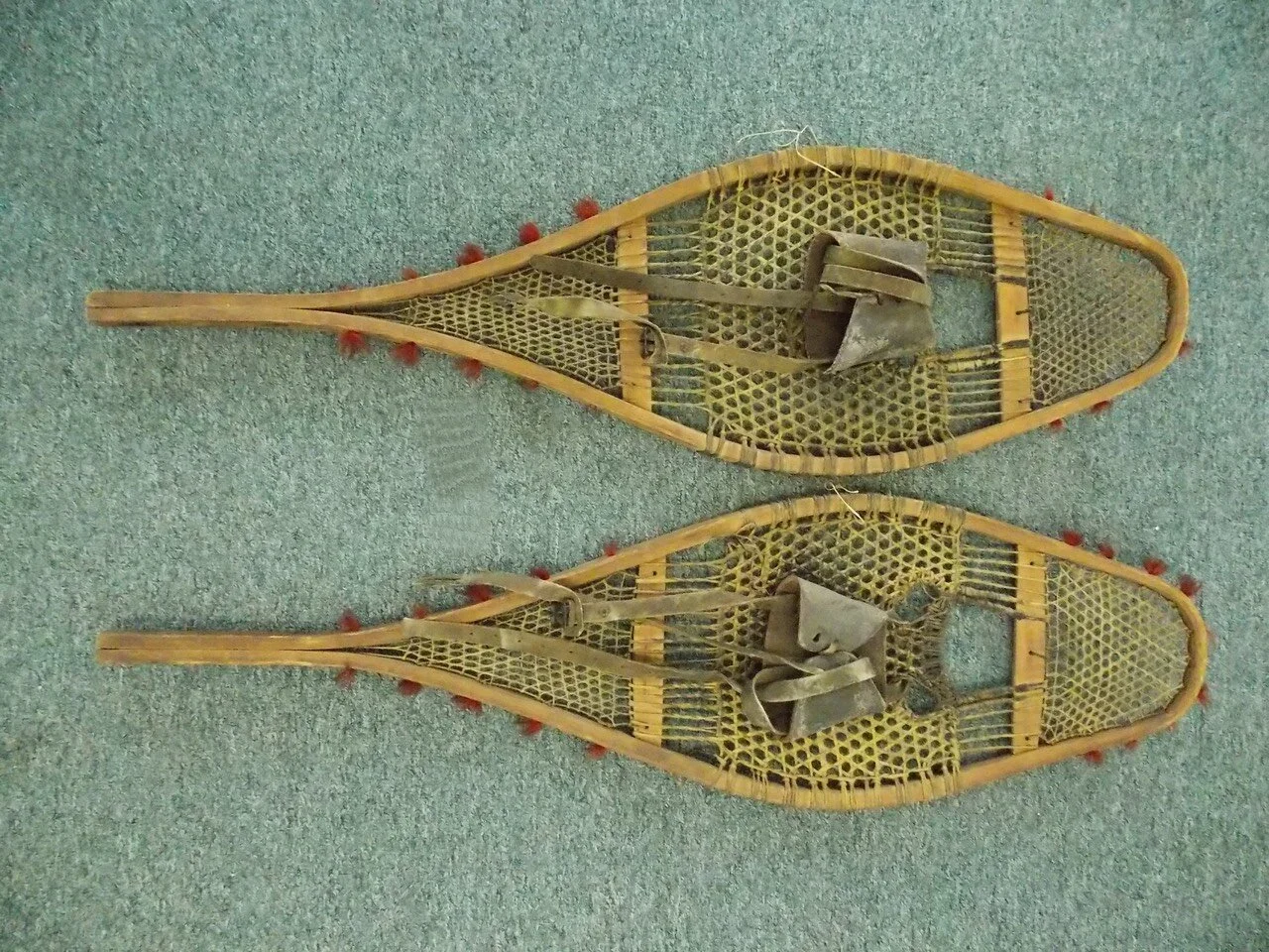 Snowshoes