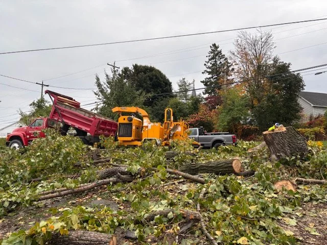 oct_2025_19 - Copy.JPG