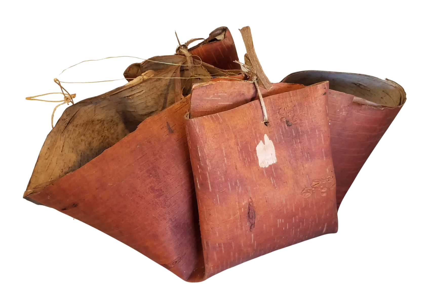 sap_bucket.png