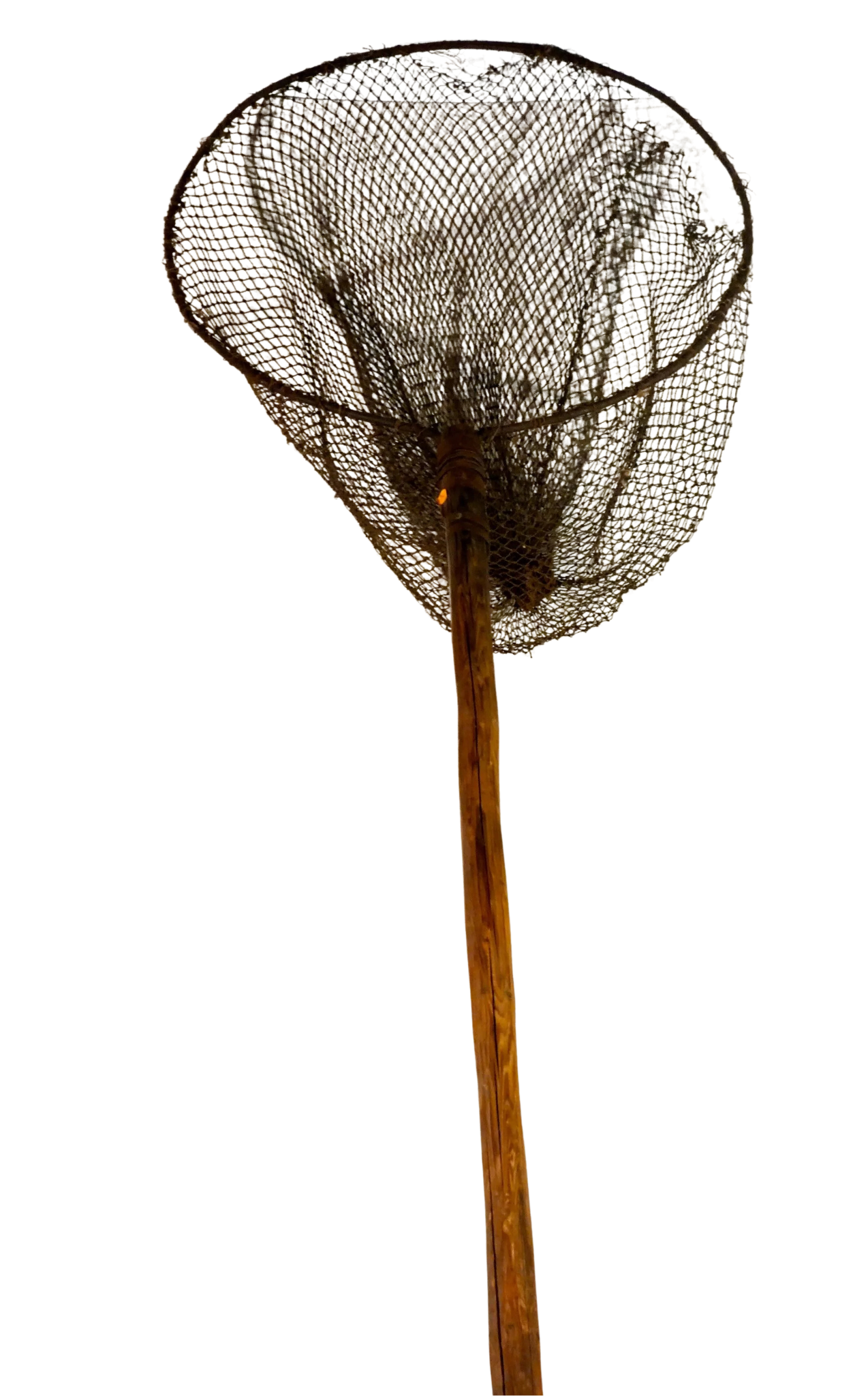 net.png