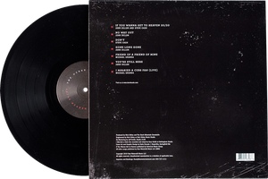 Heaven 20/20 (VINYL) — THE OZARK MOUNTAIN DAREDEVILS