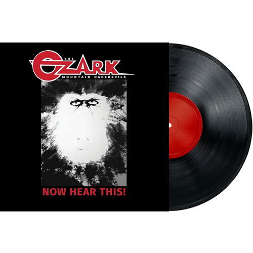 now hear this vinyl.png