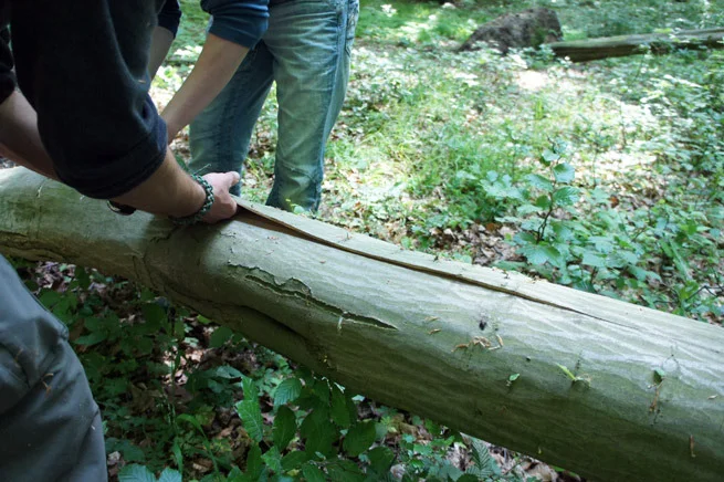 Rinde als Baumaterial