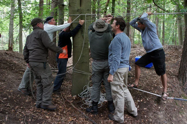 Teambuilding - Outdoortraining mit Seilaufbau