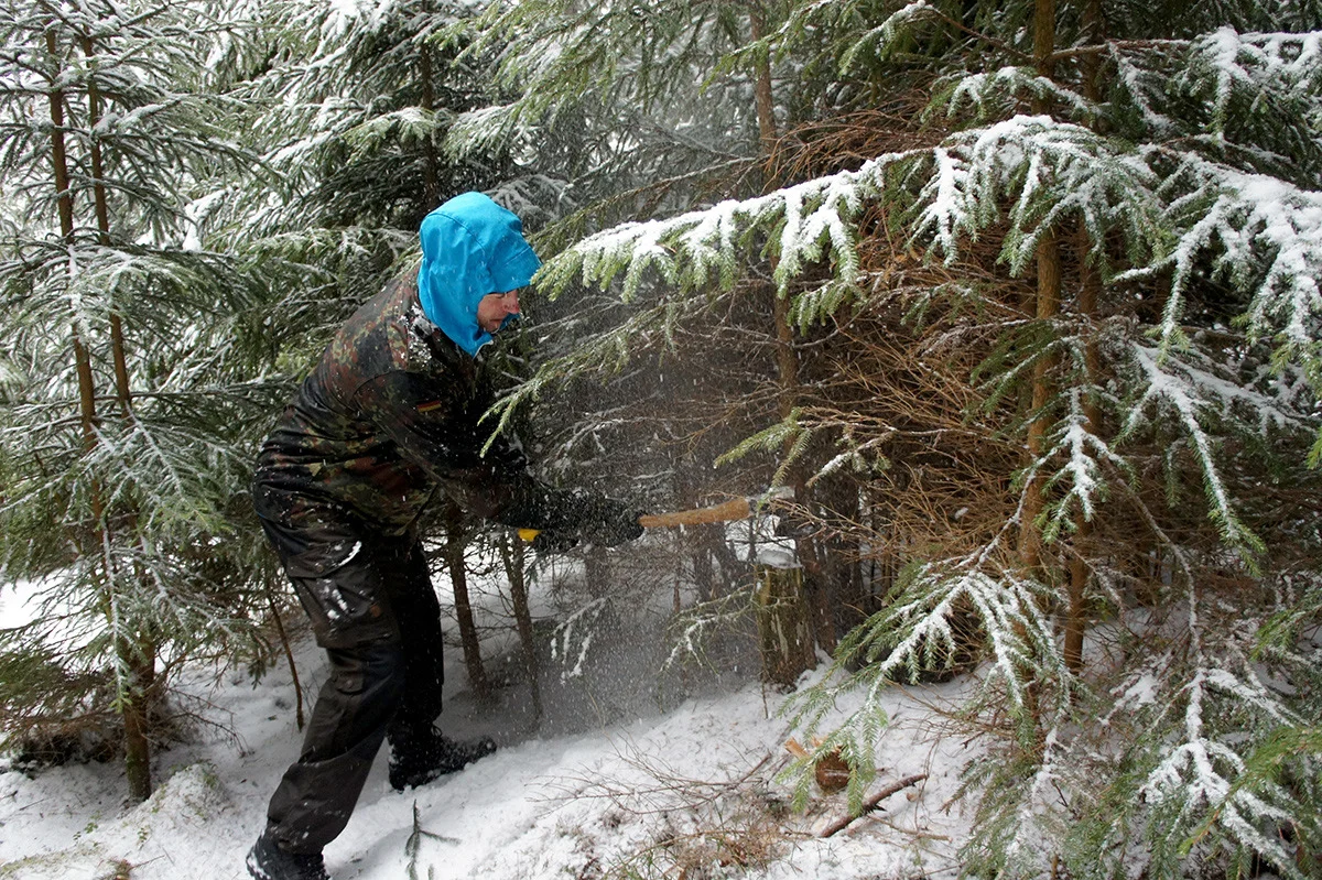 winter_survival_03.jpg