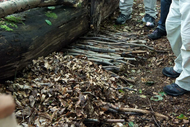 03_bushbed.jpg