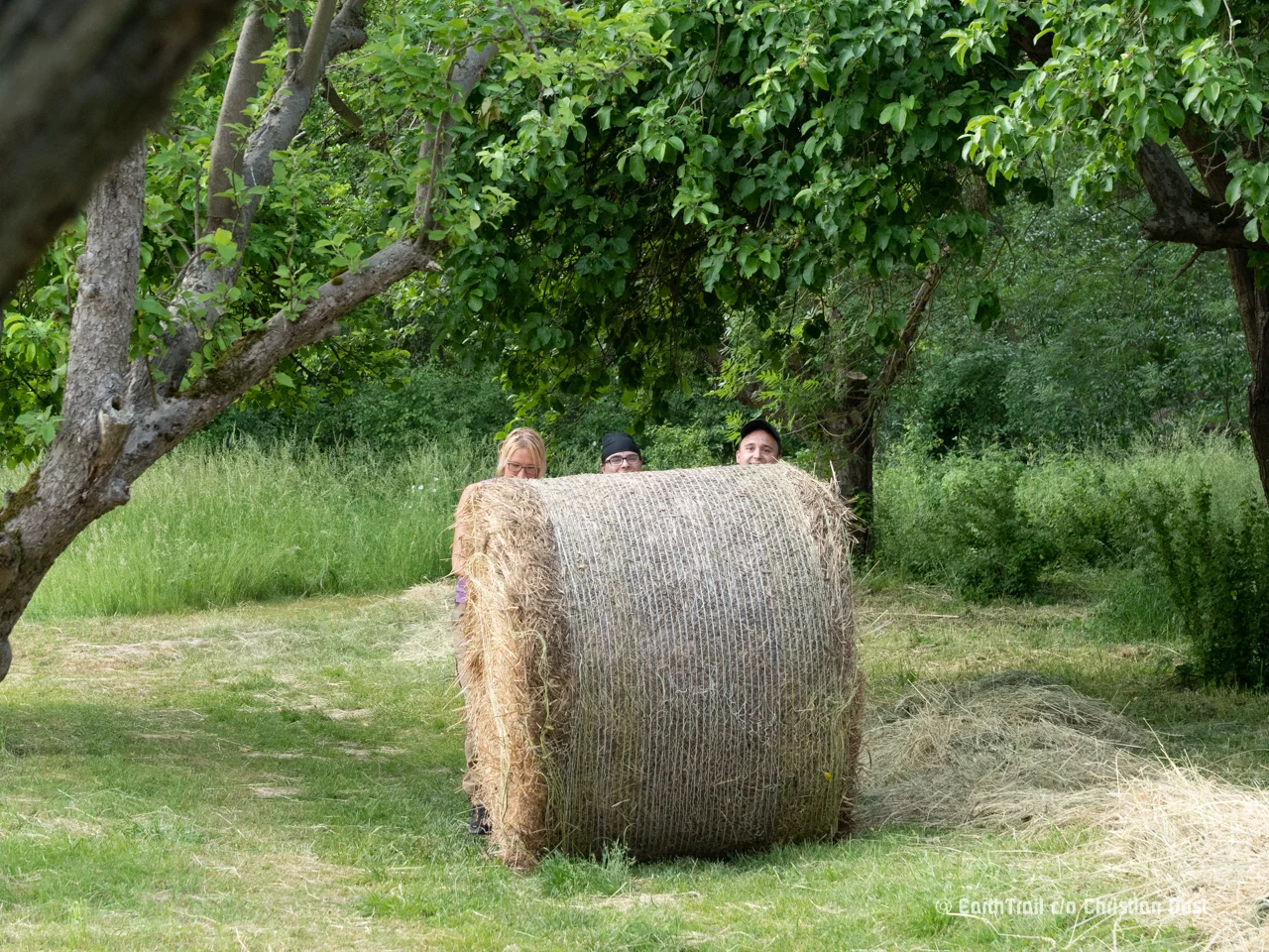 Stroh als Baumaterial beim Survival Training