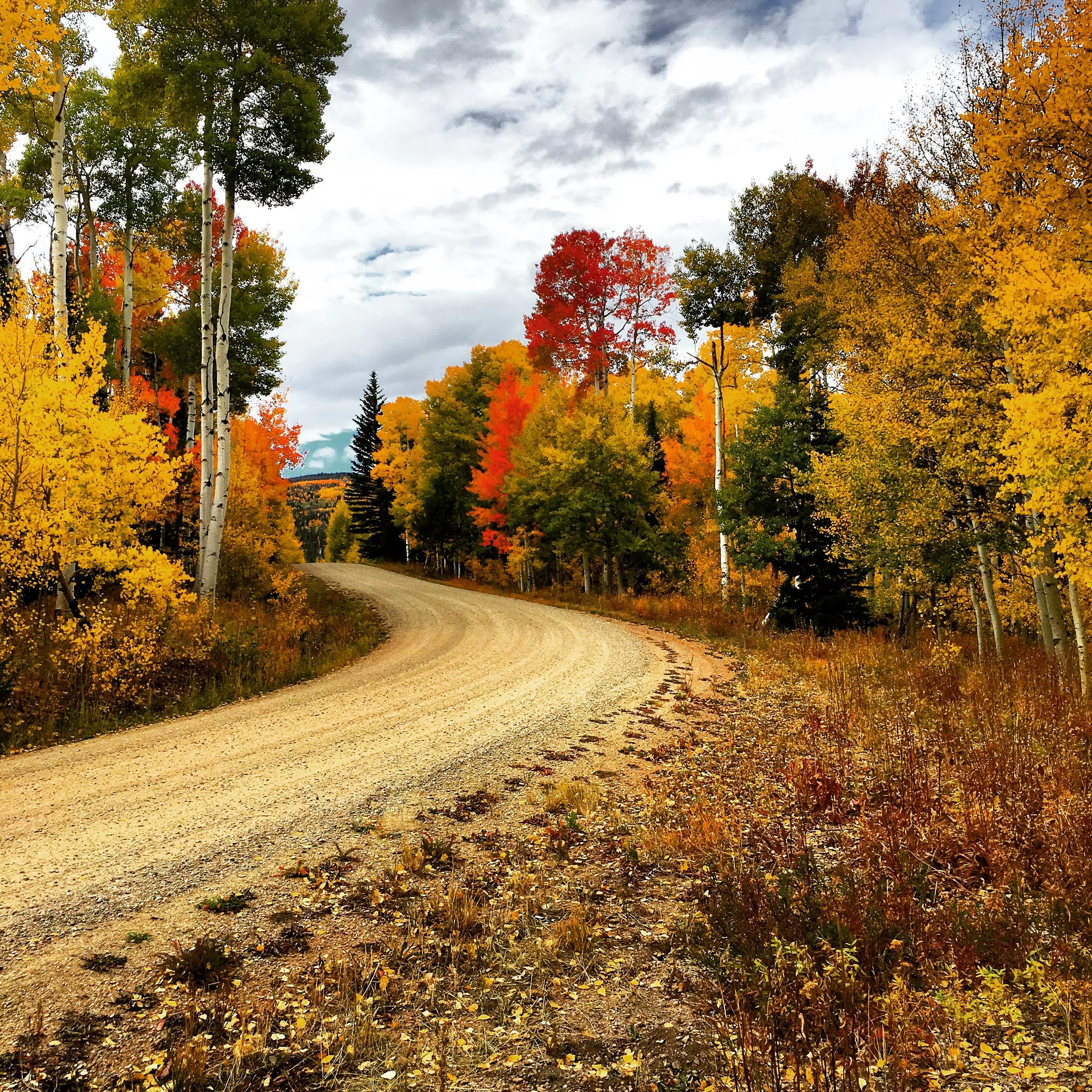 Homes on 2+ acres  (Copy)