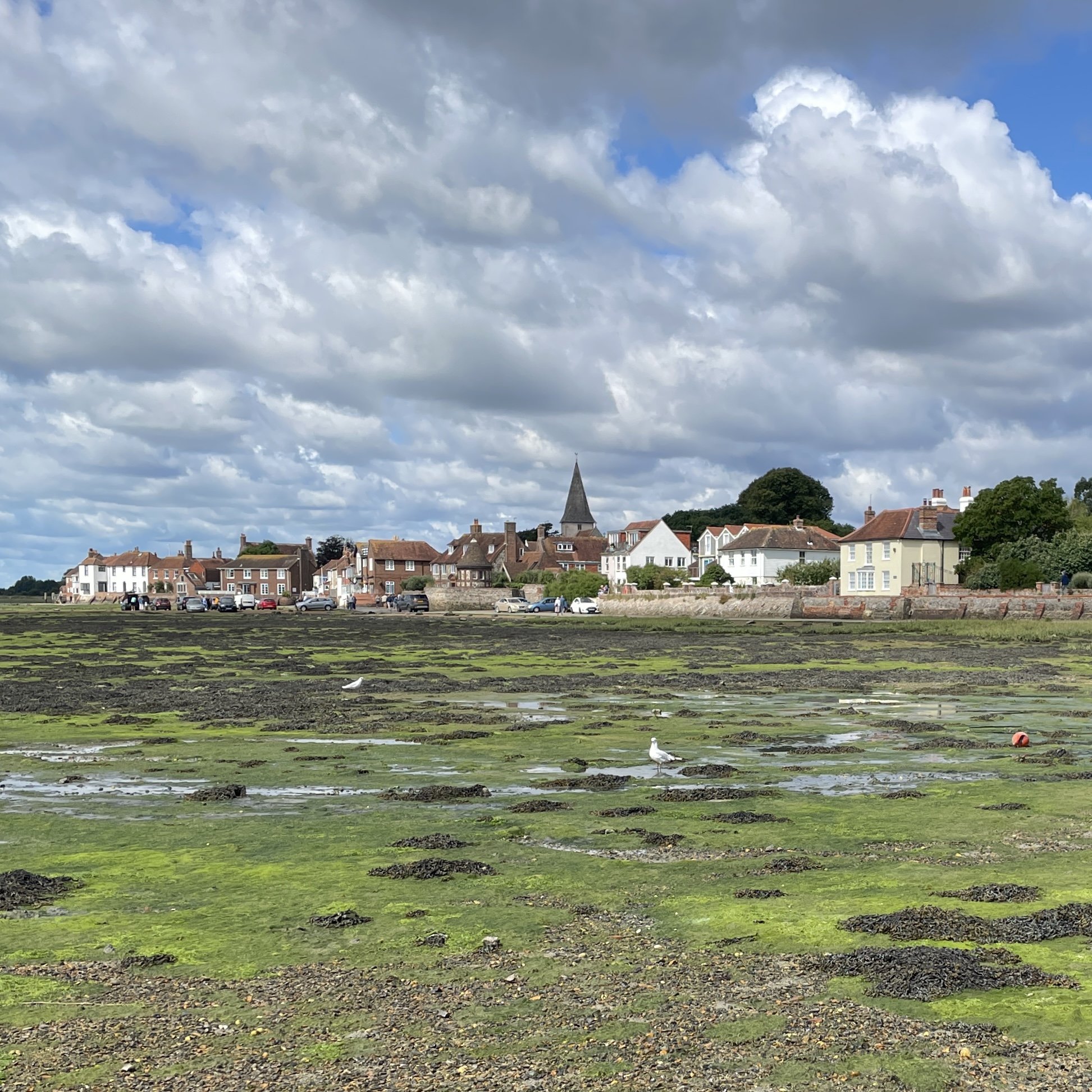  a view of Bosham quay with the tide out 
