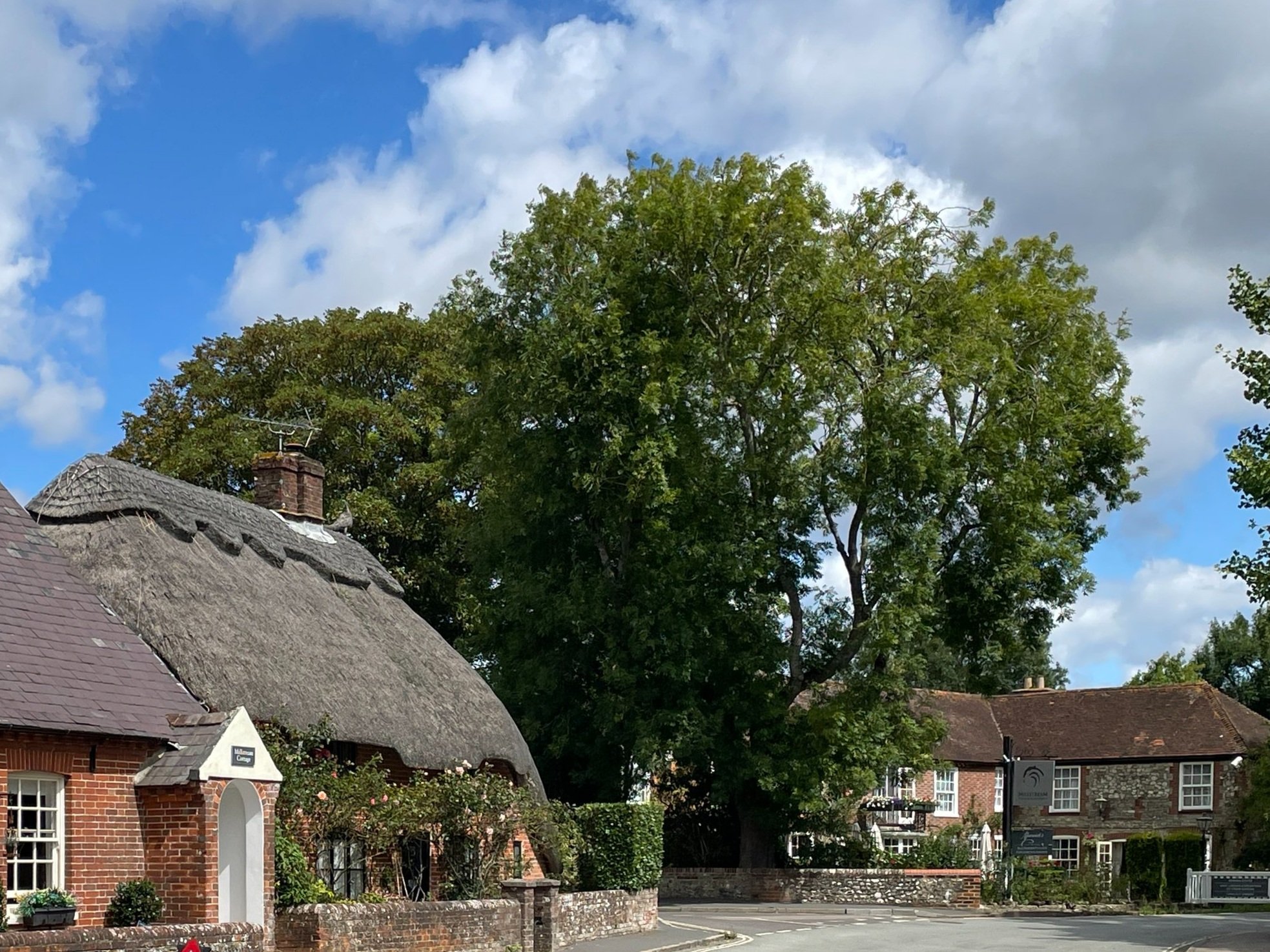  view of The Millstream Hotel, near Bosham Quay and harbour, with a traditional thatched cottage in the foreground 