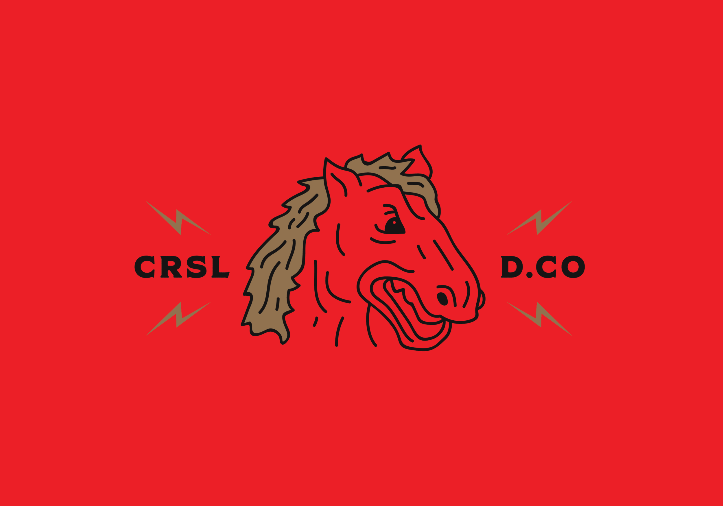 CRSLD-WEB-BRANDING-09.jpg