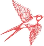 red bird.jpg