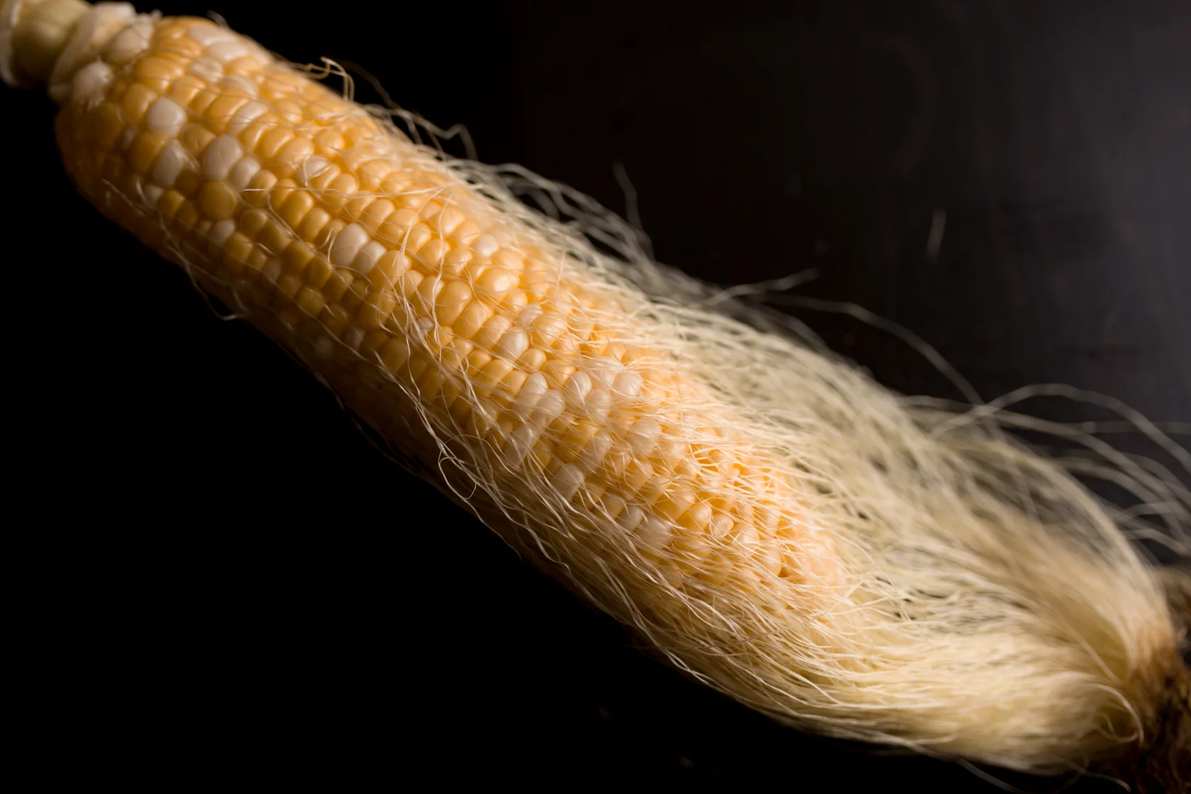 Each silk is attached to a single kernel to allow for pollination. The average ear of sweet corn has 400-600 kernels arranged in 12-20 rows.
