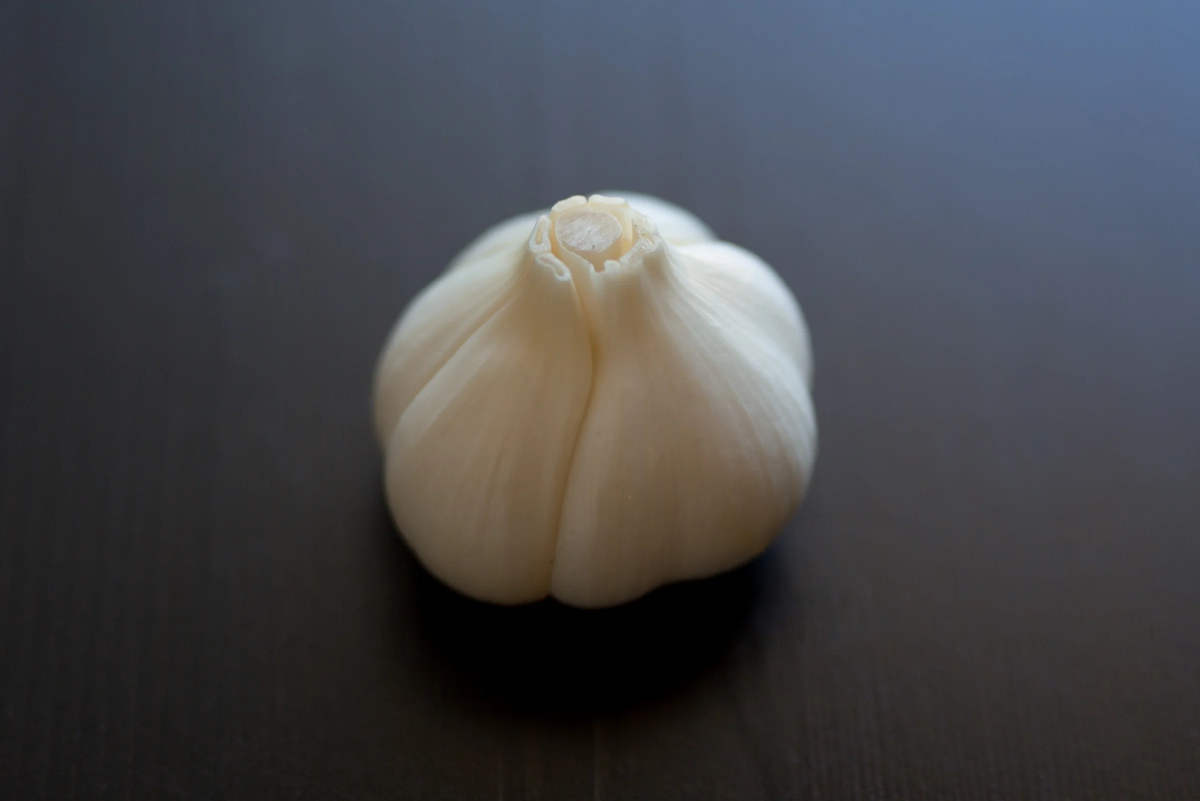 hiberry-37.jpg