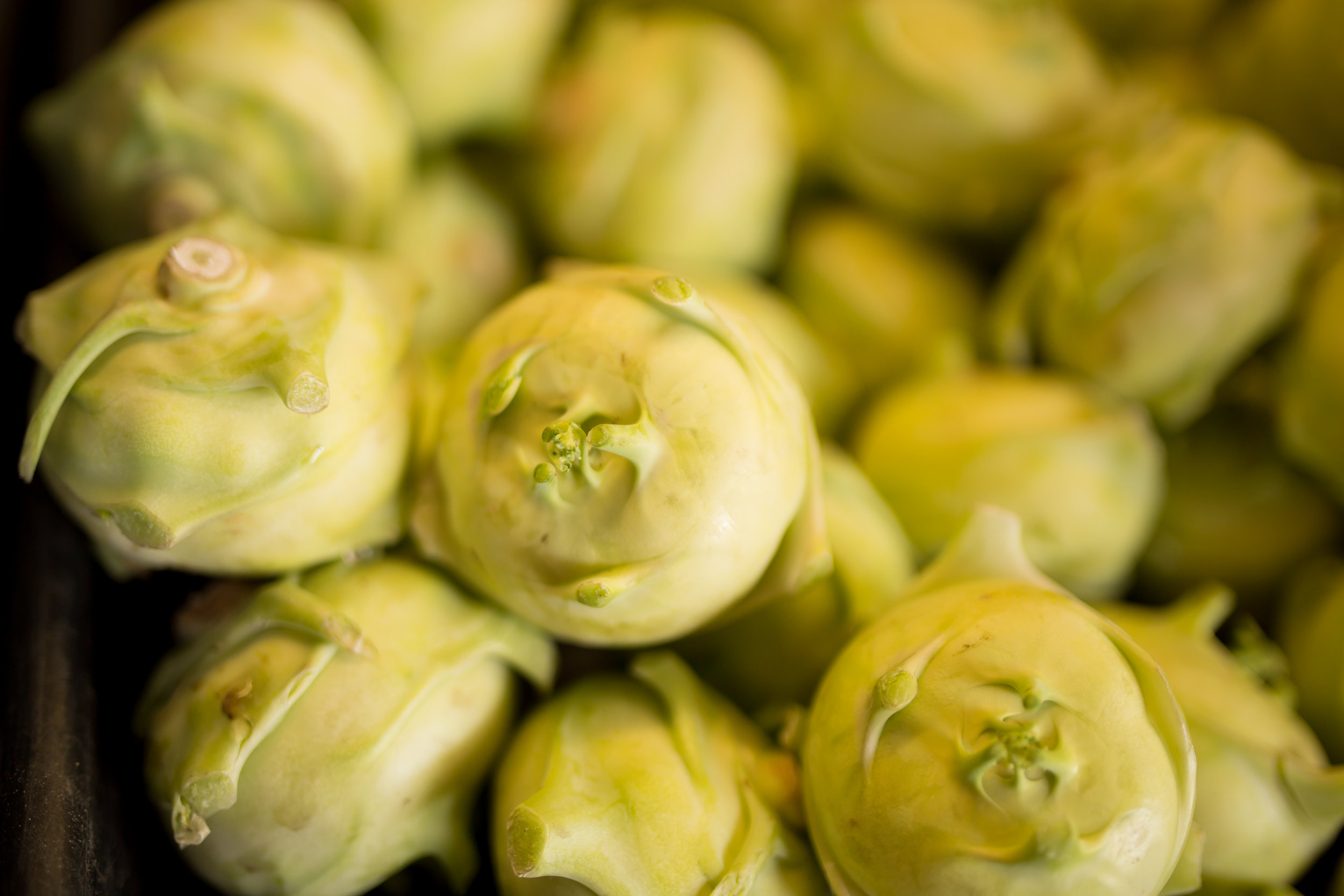 kohlrabi-16.jpg