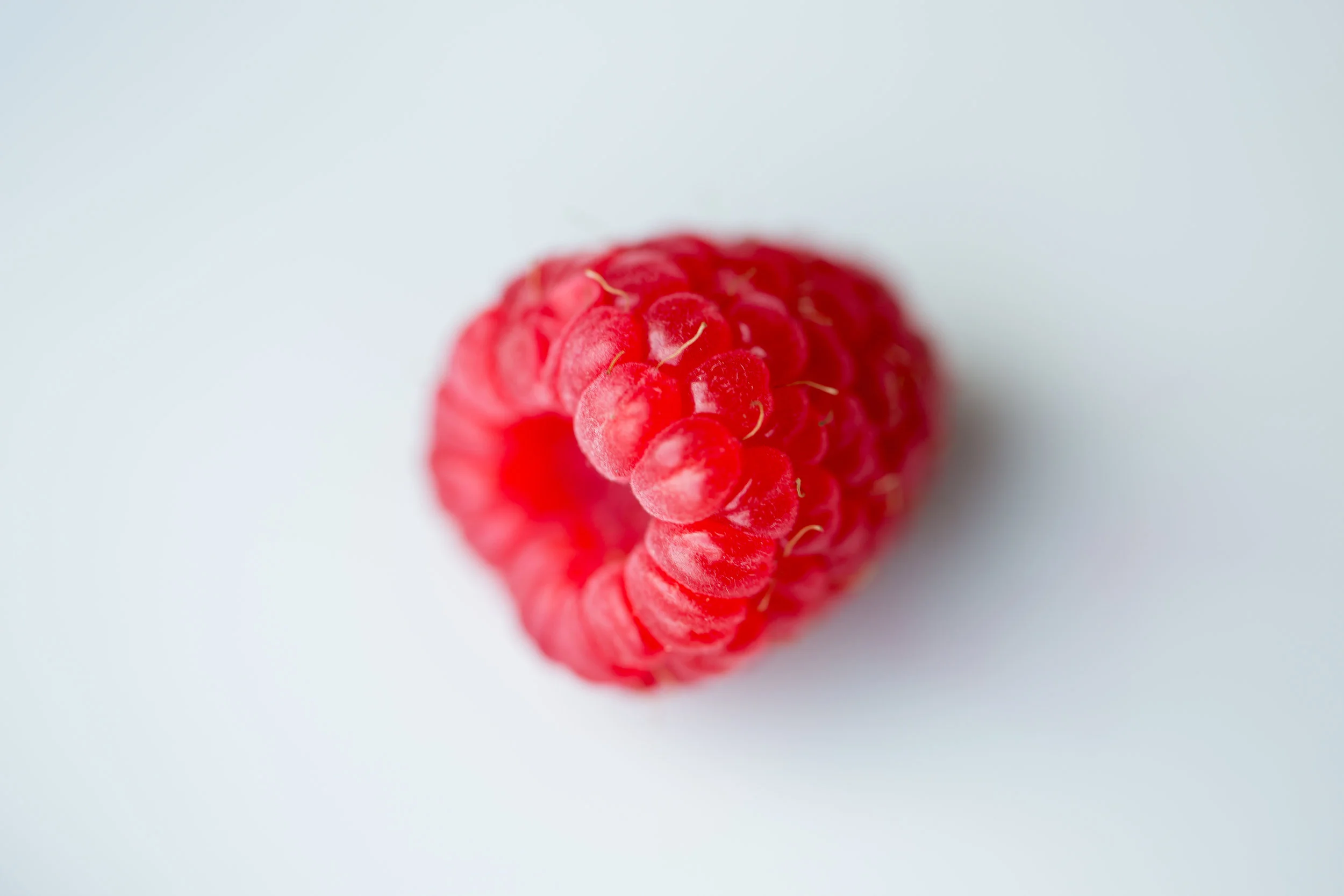 Raspberries are actually clusters of tiny fruit; Each, bead-like, piece of the berry can be considered a fruit on its own.