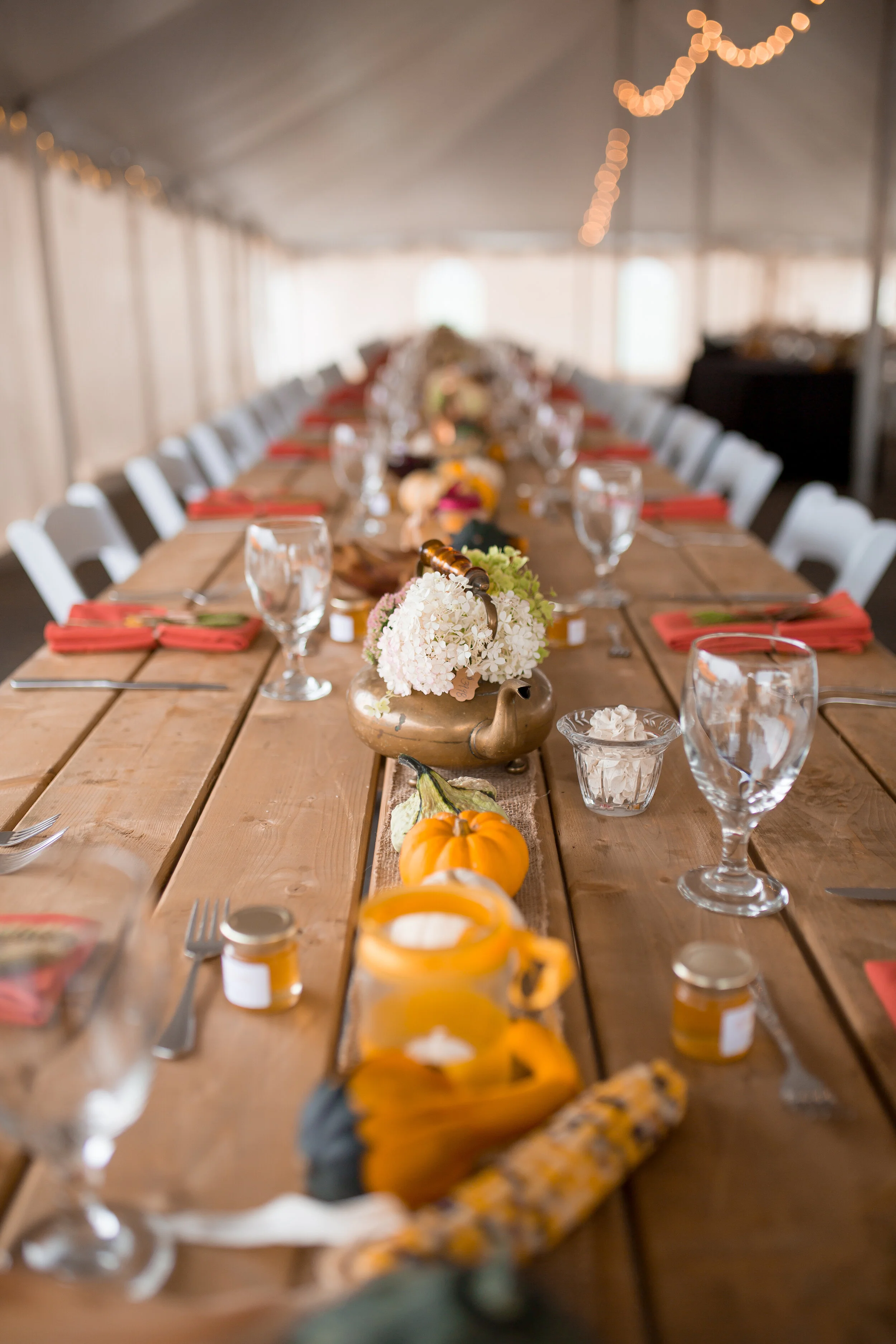 farmtotable4-7.jpg