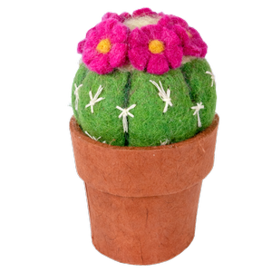 Felt Cactus "Snake Plant"  Hickory Dickory Dock