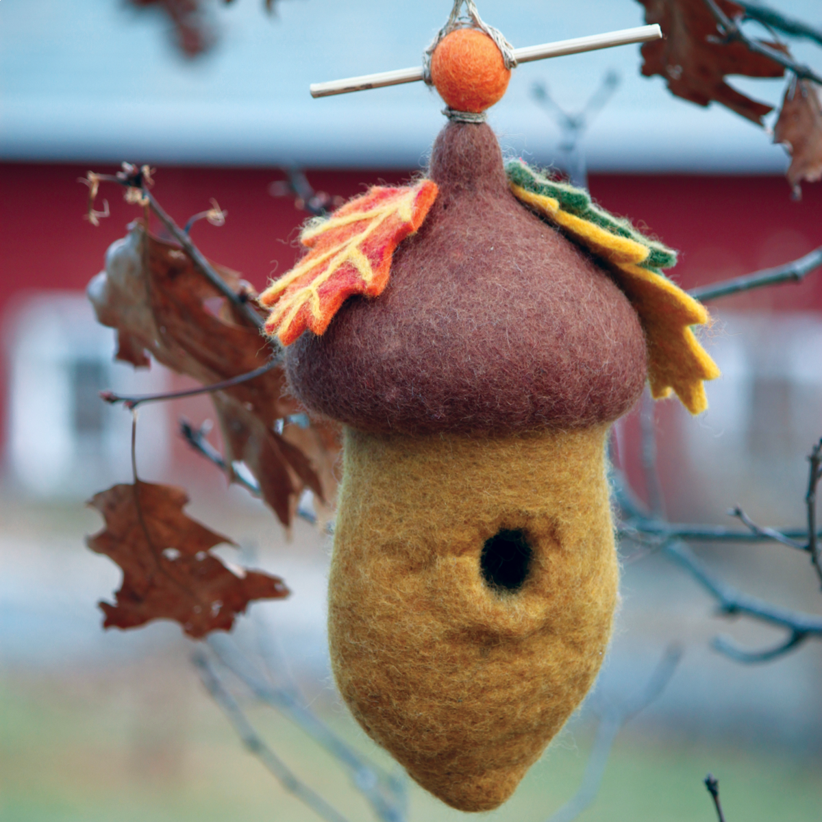 setting-484042-pin-oak-acorn-birdhouse-fall-web-1200px.png