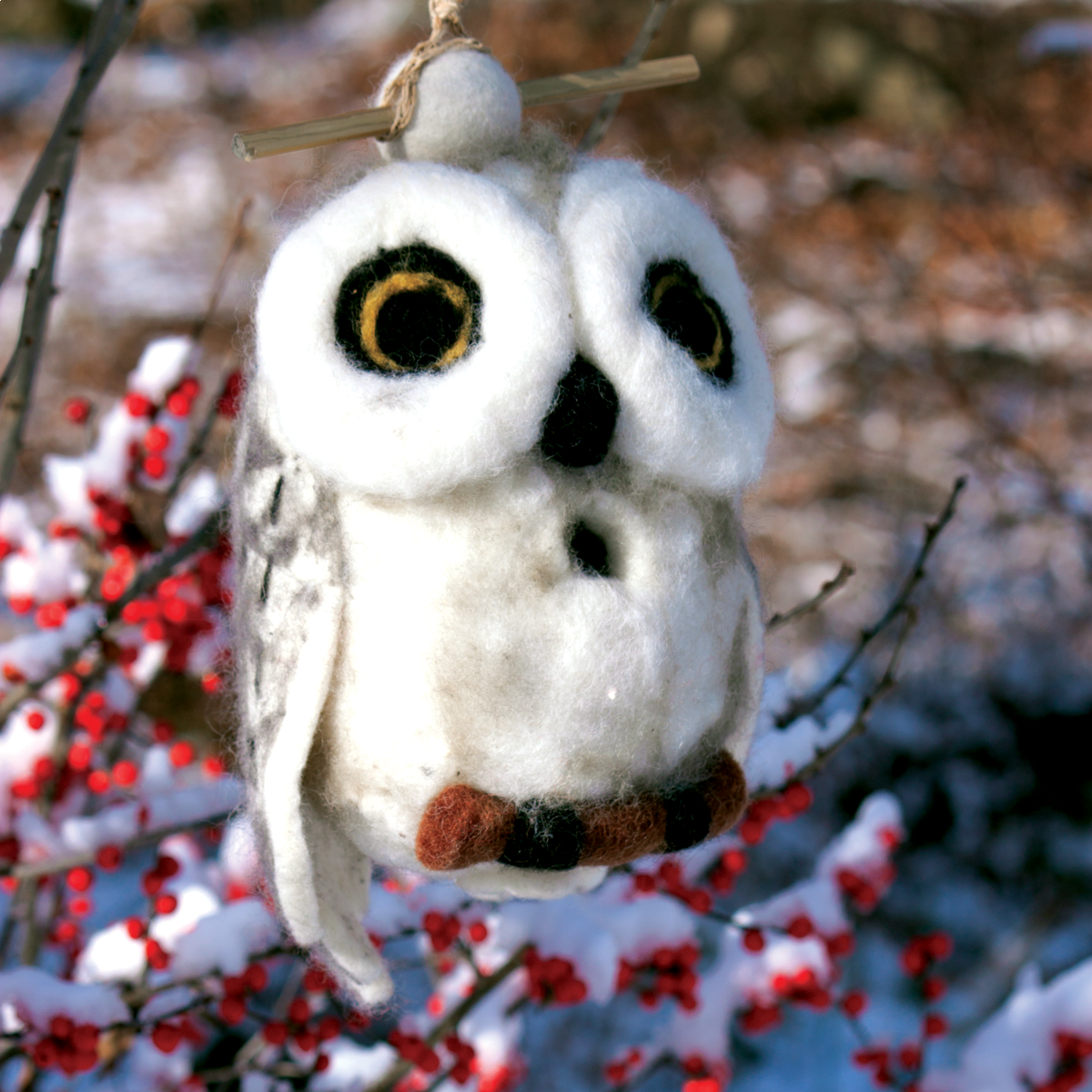 setting-484057-snowy-owl-berries-side-view-web.png