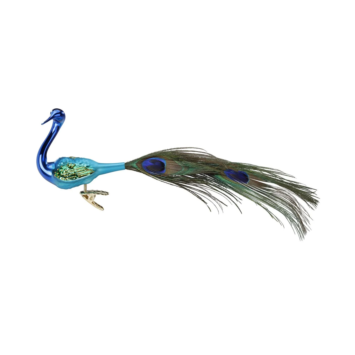 pcock.jpg