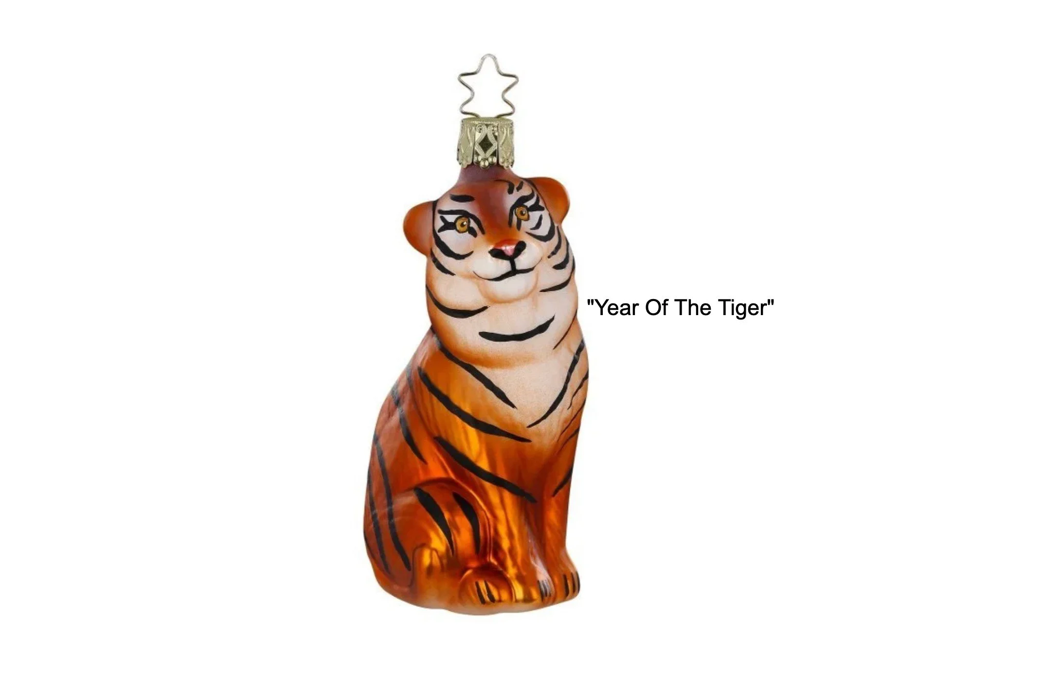 year of the tiger.jpg