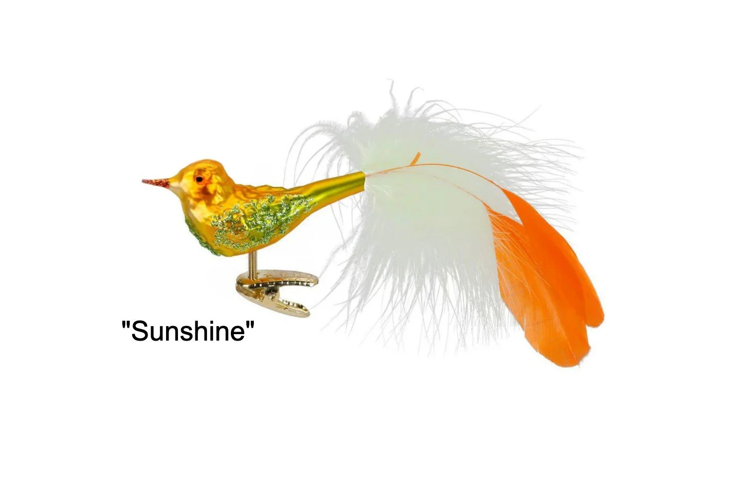 sunshine bird.jpg
