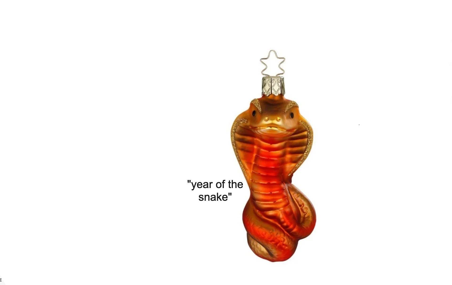 year of trhe snake .jpg